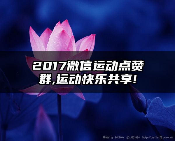 2017微信运动点赞群,运动快乐共享!
