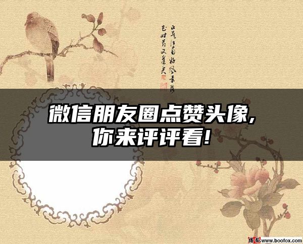 微信朋友圈点赞头像,你来评评看!
