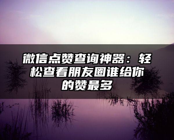 微信点赞查询神器：轻松查看朋友圈谁给你的赞最多