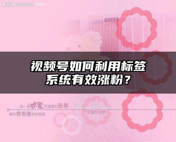 视频号如何利用标签系统有效涨粉？