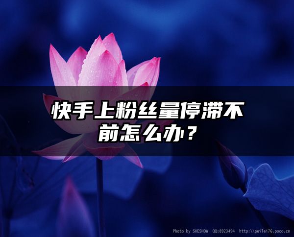 快手上粉丝量停滞不前怎么办？
