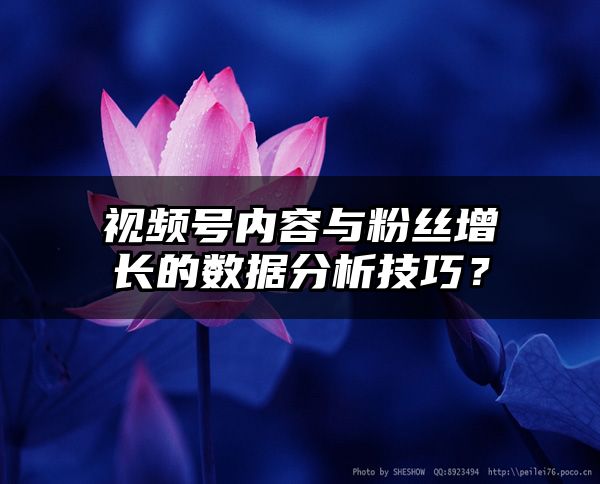 视频号内容与粉丝增长的数据分析技巧？