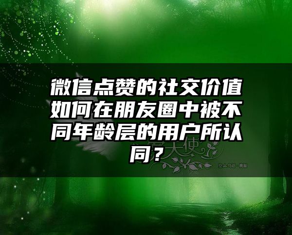 微信点赞的社交价值如何在朋友圈中被不同年龄层的用户所认同？