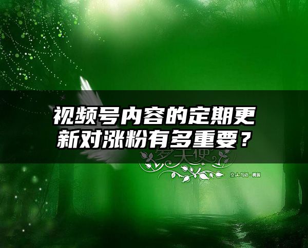 视频号内容的定期更新对涨粉有多重要？