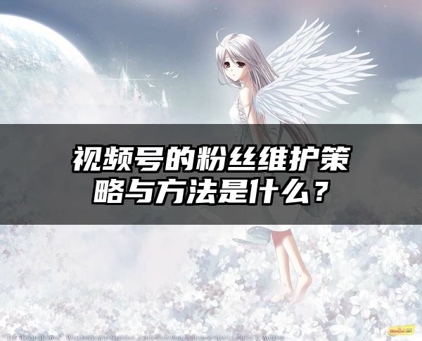 视频号的粉丝维护策略与方法是什么？