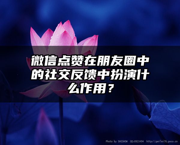 微信点赞在朋友圈中的社交反馈中扮演什么作用？