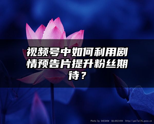 视频号中如何利用剧情预告片提升粉丝期待？