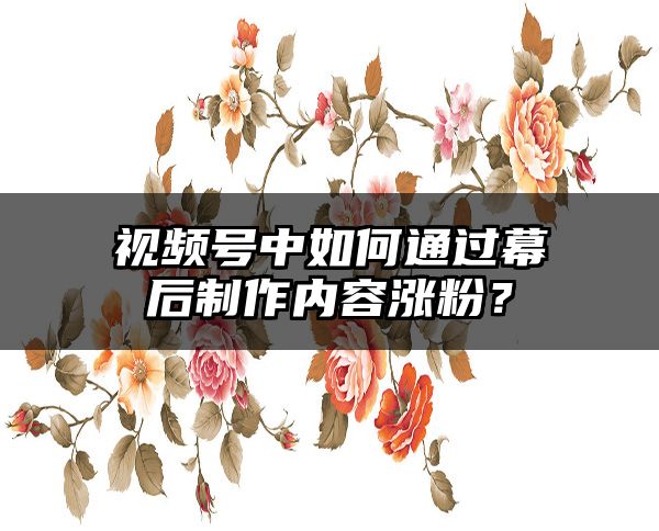 视频号中如何通过幕后制作内容涨粉？