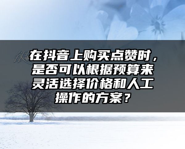 在抖音上购买点赞时，是否可以根据预算来灵活选择价格和人工操作的方案？